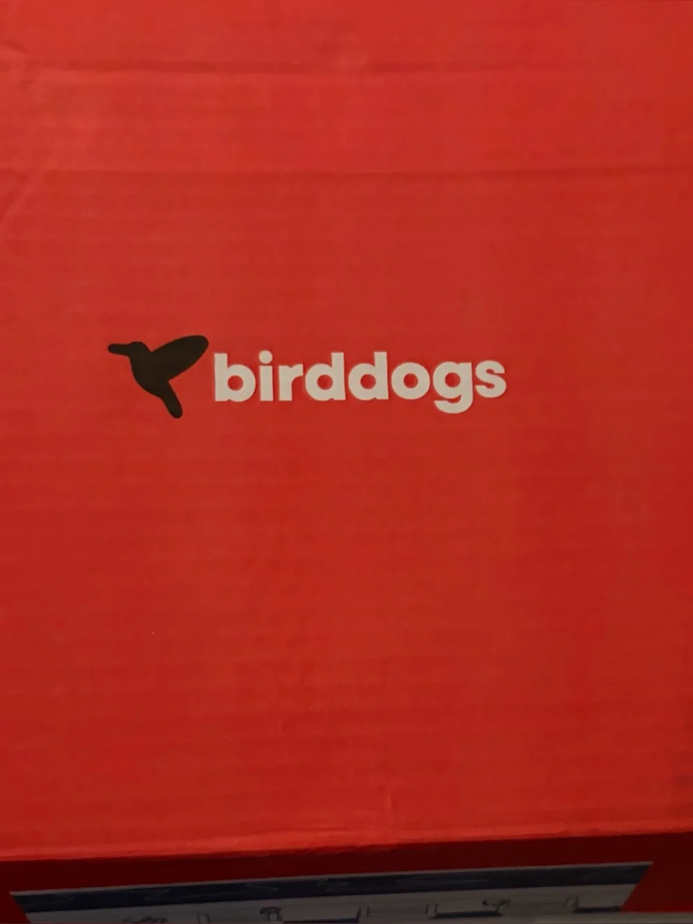 Birddogs Men’s Swim